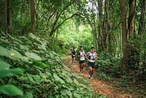 BIB: 
                            <button type="button" onclick="openModal(26803997)" class="btn btn-primary btn-sm float-right btn-popup" data-toggle="modal" data-target=".modal-high-quality">
                        <i class="fas fa-shopping-cart"></i> Add to Cart
                    </button>
                                            <button type="button" onclick="isThisMe(26803997, true)" class="btn btn-success btn-sm float-right btn-popup btn-isme hidden" data-toggle="tooltip" data-placement="bottom" title="นี่คือรูปของคุณใช่ไหม คลิกที่นี่เพื่อเอาเข้าอัลบั้ม">
                        <i class="fas fa-plus"></i> Add to album
                    </button>
                    <button type="button" onclick="isThisMe(26803997, false)" class="btn btn-warning btn-sm float-right btn-popup btn-isnotme hidden">
                        <i class="fas fa-ban"></i> Remove from album
                    </button>