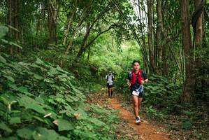 BIB: 
                            <button type="button" onclick="openModal(26801464)" class="btn btn-primary btn-sm float-right btn-popup" data-toggle="modal" data-target=".modal-high-quality">
                        <i class="fas fa-shopping-cart"></i> Add to Cart
                    </button>
                                            <button type="button" onclick="isThisMe(26801464, true)" class="btn btn-success btn-sm float-right btn-popup btn-isme hidden" data-toggle="tooltip" data-placement="bottom" title="นี่คือรูปของคุณใช่ไหม คลิกที่นี่เพื่อเอาเข้าอัลบั้ม">
                        <i class="fas fa-plus"></i> Add to album
                    </button>
                    <button type="button" onclick="isThisMe(26801464, false)" class="btn btn-warning btn-sm float-right btn-popup btn-isnotme hidden">
                        <i class="fas fa-ban"></i> Remove from album
                    </button>