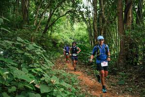 BIB: 
                            <button type="button" onclick="openModal(26802720)" class="btn btn-primary btn-sm float-right btn-popup" data-toggle="modal" data-target=".modal-high-quality">
                        <i class="fas fa-shopping-cart"></i> Add to Cart
                    </button>
                                            <button type="button" onclick="isThisMe(26802720, true)" class="btn btn-success btn-sm float-right btn-popup btn-isme hidden" data-toggle="tooltip" data-placement="bottom" title="นี่คือรูปของคุณใช่ไหม คลิกที่นี่เพื่อเอาเข้าอัลบั้ม">
                        <i class="fas fa-plus"></i> Add to album
                    </button>
                    <button type="button" onclick="isThisMe(26802720, false)" class="btn btn-warning btn-sm float-right btn-popup btn-isnotme hidden">
                        <i class="fas fa-ban"></i> Remove from album
                    </button>