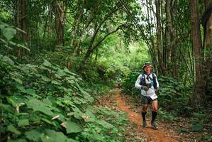 BIB: 
                            <button type="button" onclick="openModal(26801002)" class="btn btn-primary btn-sm float-right btn-popup" data-toggle="modal" data-target=".modal-high-quality">
                        <i class="fas fa-shopping-cart"></i> Add to Cart
                    </button>
                                            <button type="button" onclick="isThisMe(26801002, true)" class="btn btn-success btn-sm float-right btn-popup btn-isme hidden" data-toggle="tooltip" data-placement="bottom" title="นี่คือรูปของคุณใช่ไหม คลิกที่นี่เพื่อเอาเข้าอัลบั้ม">
                        <i class="fas fa-plus"></i> Add to album
                    </button>
                    <button type="button" onclick="isThisMe(26801002, false)" class="btn btn-warning btn-sm float-right btn-popup btn-isnotme hidden">
                        <i class="fas fa-ban"></i> Remove from album
                    </button>