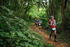 BIB: 
                            <button type="button" onclick="openModal(26803621)" class="btn btn-primary btn-sm float-right btn-popup" data-toggle="modal" data-target=".modal-high-quality">
                        <i class="fas fa-shopping-cart"></i> Add to Cart
                    </button>
                                            <button type="button" onclick="isThisMe(26803621, true)" class="btn btn-success btn-sm float-right btn-popup btn-isme hidden" data-toggle="tooltip" data-placement="bottom" title="นี่คือรูปของคุณใช่ไหม คลิกที่นี่เพื่อเอาเข้าอัลบั้ม">
                        <i class="fas fa-plus"></i> Add to album
                    </button>
                    <button type="button" onclick="isThisMe(26803621, false)" class="btn btn-warning btn-sm float-right btn-popup btn-isnotme hidden">
                        <i class="fas fa-ban"></i> Remove from album
                    </button>