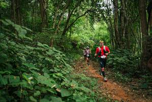 BIB: 
                            <button type="button" onclick="openModal(26803306)" class="btn btn-primary btn-sm float-right btn-popup" data-toggle="modal" data-target=".modal-high-quality">
                        <i class="fas fa-shopping-cart"></i> Add to Cart
                    </button>
                                            <button type="button" onclick="isThisMe(26803306, true)" class="btn btn-success btn-sm float-right btn-popup btn-isme hidden" data-toggle="tooltip" data-placement="bottom" title="นี่คือรูปของคุณใช่ไหม คลิกที่นี่เพื่อเอาเข้าอัลบั้ม">
                        <i class="fas fa-plus"></i> Add to album
                    </button>
                    <button type="button" onclick="isThisMe(26803306, false)" class="btn btn-warning btn-sm float-right btn-popup btn-isnotme hidden">
                        <i class="fas fa-ban"></i> Remove from album
                    </button>