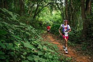 BIB: 
                            <button type="button" onclick="openModal(26803374)" class="btn btn-primary btn-sm float-right btn-popup" data-toggle="modal" data-target=".modal-high-quality">
                        <i class="fas fa-shopping-cart"></i> Add to Cart
                    </button>
                                            <button type="button" onclick="isThisMe(26803374, true)" class="btn btn-success btn-sm float-right btn-popup btn-isme hidden" data-toggle="tooltip" data-placement="bottom" title="นี่คือรูปของคุณใช่ไหม คลิกที่นี่เพื่อเอาเข้าอัลบั้ม">
                        <i class="fas fa-plus"></i> Add to album
                    </button>
                    <button type="button" onclick="isThisMe(26803374, false)" class="btn btn-warning btn-sm float-right btn-popup btn-isnotme hidden">
                        <i class="fas fa-ban"></i> Remove from album
                    </button>