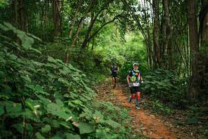 BIB: 
                            <button type="button" onclick="openModal(26803234)" class="btn btn-primary btn-sm float-right btn-popup" data-toggle="modal" data-target=".modal-high-quality">
                        <i class="fas fa-shopping-cart"></i> Add to Cart
                    </button>
                                            <button type="button" onclick="isThisMe(26803234, true)" class="btn btn-success btn-sm float-right btn-popup btn-isme hidden" data-toggle="tooltip" data-placement="bottom" title="นี่คือรูปของคุณใช่ไหม คลิกที่นี่เพื่อเอาเข้าอัลบั้ม">
                        <i class="fas fa-plus"></i> Add to album
                    </button>
                    <button type="button" onclick="isThisMe(26803234, false)" class="btn btn-warning btn-sm float-right btn-popup btn-isnotme hidden">
                        <i class="fas fa-ban"></i> Remove from album
                    </button>