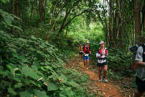 BIB: 
                            <button type="button" onclick="openModal(26802286)" class="btn btn-primary btn-sm float-right btn-popup" data-toggle="modal" data-target=".modal-high-quality">
                        <i class="fas fa-shopping-cart"></i> Add to Cart
                    </button>
                                            <button type="button" onclick="isThisMe(26802286, true)" class="btn btn-success btn-sm float-right btn-popup btn-isme hidden" data-toggle="tooltip" data-placement="bottom" title="นี่คือรูปของคุณใช่ไหม คลิกที่นี่เพื่อเอาเข้าอัลบั้ม">
                        <i class="fas fa-plus"></i> Add to album
                    </button>
                    <button type="button" onclick="isThisMe(26802286, false)" class="btn btn-warning btn-sm float-right btn-popup btn-isnotme hidden">
                        <i class="fas fa-ban"></i> Remove from album
                    </button>