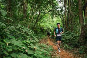 BIB: 
                            <button type="button" onclick="openModal(26801155)" class="btn btn-primary btn-sm float-right btn-popup" data-toggle="modal" data-target=".modal-high-quality">
                        <i class="fas fa-shopping-cart"></i> Add to Cart
                    </button>
                                            <button type="button" onclick="isThisMe(26801155, true)" class="btn btn-success btn-sm float-right btn-popup btn-isme hidden" data-toggle="tooltip" data-placement="bottom" title="นี่คือรูปของคุณใช่ไหม คลิกที่นี่เพื่อเอาเข้าอัลบั้ม">
                        <i class="fas fa-plus"></i> Add to album
                    </button>
                    <button type="button" onclick="isThisMe(26801155, false)" class="btn btn-warning btn-sm float-right btn-popup btn-isnotme hidden">
                        <i class="fas fa-ban"></i> Remove from album
                    </button>