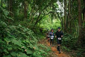 BIB: 
                            <button type="button" onclick="openModal(26801758)" class="btn btn-primary btn-sm float-right btn-popup" data-toggle="modal" data-target=".modal-high-quality">
                        <i class="fas fa-shopping-cart"></i> Add to Cart
                    </button>
                                            <button type="button" onclick="isThisMe(26801758, true)" class="btn btn-success btn-sm float-right btn-popup btn-isme hidden" data-toggle="tooltip" data-placement="bottom" title="นี่คือรูปของคุณใช่ไหม คลิกที่นี่เพื่อเอาเข้าอัลบั้ม">
                        <i class="fas fa-plus"></i> Add to album
                    </button>
                    <button type="button" onclick="isThisMe(26801758, false)" class="btn btn-warning btn-sm float-right btn-popup btn-isnotme hidden">
                        <i class="fas fa-ban"></i> Remove from album
                    </button>