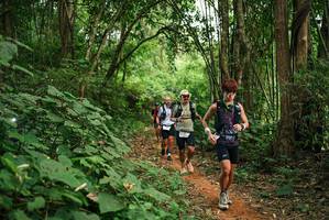 BIB: 
                            <button type="button" onclick="openModal(26802684)" class="btn btn-primary btn-sm float-right btn-popup" data-toggle="modal" data-target=".modal-high-quality">
                        <i class="fas fa-shopping-cart"></i> Add to Cart
                    </button>
                                            <button type="button" onclick="isThisMe(26802684, true)" class="btn btn-success btn-sm float-right btn-popup btn-isme hidden" data-toggle="tooltip" data-placement="bottom" title="นี่คือรูปของคุณใช่ไหม คลิกที่นี่เพื่อเอาเข้าอัลบั้ม">
                        <i class="fas fa-plus"></i> Add to album
                    </button>
                    <button type="button" onclick="isThisMe(26802684, false)" class="btn btn-warning btn-sm float-right btn-popup btn-isnotme hidden">
                        <i class="fas fa-ban"></i> Remove from album
                    </button>