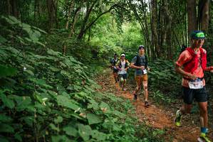 BIB: 
                            <button type="button" onclick="openModal(26803366)" class="btn btn-primary btn-sm float-right btn-popup" data-toggle="modal" data-target=".modal-high-quality">
                        <i class="fas fa-shopping-cart"></i> Add to Cart
                    </button>
                                            <button type="button" onclick="isThisMe(26803366, true)" class="btn btn-success btn-sm float-right btn-popup btn-isme hidden" data-toggle="tooltip" data-placement="bottom" title="นี่คือรูปของคุณใช่ไหม คลิกที่นี่เพื่อเอาเข้าอัลบั้ม">
                        <i class="fas fa-plus"></i> Add to album
                    </button>
                    <button type="button" onclick="isThisMe(26803366, false)" class="btn btn-warning btn-sm float-right btn-popup btn-isnotme hidden">
                        <i class="fas fa-ban"></i> Remove from album
                    </button>