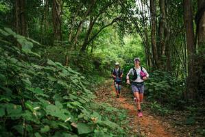 BIB: 
                            <button type="button" onclick="openModal(26803331)" class="btn btn-primary btn-sm float-right btn-popup" data-toggle="modal" data-target=".modal-high-quality">
                        <i class="fas fa-shopping-cart"></i> Add to Cart
                    </button>
                                            <button type="button" onclick="isThisMe(26803331, true)" class="btn btn-success btn-sm float-right btn-popup btn-isme hidden" data-toggle="tooltip" data-placement="bottom" title="นี่คือรูปของคุณใช่ไหม คลิกที่นี่เพื่อเอาเข้าอัลบั้ม">
                        <i class="fas fa-plus"></i> Add to album
                    </button>
                    <button type="button" onclick="isThisMe(26803331, false)" class="btn btn-warning btn-sm float-right btn-popup btn-isnotme hidden">
                        <i class="fas fa-ban"></i> Remove from album
                    </button>