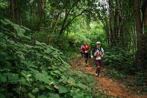 BIB: 
                            <button type="button" onclick="openModal(26803313)" class="btn btn-primary btn-sm float-right btn-popup" data-toggle="modal" data-target=".modal-high-quality">
                        <i class="fas fa-shopping-cart"></i> Add to Cart
                    </button>
                                            <button type="button" onclick="isThisMe(26803313, true)" class="btn btn-success btn-sm float-right btn-popup btn-isme hidden" data-toggle="tooltip" data-placement="bottom" title="นี่คือรูปของคุณใช่ไหม คลิกที่นี่เพื่อเอาเข้าอัลบั้ม">
                        <i class="fas fa-plus"></i> Add to album
                    </button>
                    <button type="button" onclick="isThisMe(26803313, false)" class="btn btn-warning btn-sm float-right btn-popup btn-isnotme hidden">
                        <i class="fas fa-ban"></i> Remove from album
                    </button>