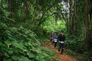 BIB: 
                            <button type="button" onclick="openModal(26801762)" class="btn btn-primary btn-sm float-right btn-popup" data-toggle="modal" data-target=".modal-high-quality">
                        <i class="fas fa-shopping-cart"></i> Add to Cart
                    </button>
                                            <button type="button" onclick="isThisMe(26801762, true)" class="btn btn-success btn-sm float-right btn-popup btn-isme hidden" data-toggle="tooltip" data-placement="bottom" title="นี่คือรูปของคุณใช่ไหม คลิกที่นี่เพื่อเอาเข้าอัลบั้ม">
                        <i class="fas fa-plus"></i> Add to album
                    </button>
                    <button type="button" onclick="isThisMe(26801762, false)" class="btn btn-warning btn-sm float-right btn-popup btn-isnotme hidden">
                        <i class="fas fa-ban"></i> Remove from album
                    </button>