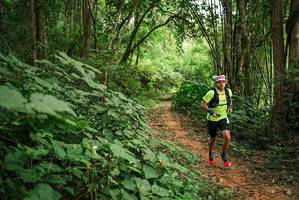 BIB: 
                            <button type="button" onclick="openModal(26803939)" class="btn btn-primary btn-sm float-right btn-popup" data-toggle="modal" data-target=".modal-high-quality">
                        <i class="fas fa-shopping-cart"></i> Add to Cart
                    </button>
                                            <button type="button" onclick="isThisMe(26803939, true)" class="btn btn-success btn-sm float-right btn-popup btn-isme hidden" data-toggle="tooltip" data-placement="bottom" title="นี่คือรูปของคุณใช่ไหม คลิกที่นี่เพื่อเอาเข้าอัลบั้ม">
                        <i class="fas fa-plus"></i> Add to album
                    </button>
                    <button type="button" onclick="isThisMe(26803939, false)" class="btn btn-warning btn-sm float-right btn-popup btn-isnotme hidden">
                        <i class="fas fa-ban"></i> Remove from album
                    </button>