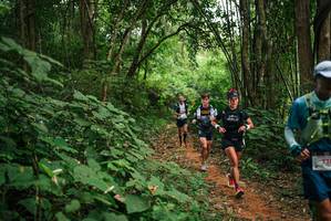 BIB: 
                            <button type="button" onclick="openModal(26803262)" class="btn btn-primary btn-sm float-right btn-popup" data-toggle="modal" data-target=".modal-high-quality">
                        <i class="fas fa-shopping-cart"></i> Add to Cart
                    </button>
                                            <button type="button" onclick="isThisMe(26803262, true)" class="btn btn-success btn-sm float-right btn-popup btn-isme hidden" data-toggle="tooltip" data-placement="bottom" title="นี่คือรูปของคุณใช่ไหม คลิกที่นี่เพื่อเอาเข้าอัลบั้ม">
                        <i class="fas fa-plus"></i> Add to album
                    </button>
                    <button type="button" onclick="isThisMe(26803262, false)" class="btn btn-warning btn-sm float-right btn-popup btn-isnotme hidden">
                        <i class="fas fa-ban"></i> Remove from album
                    </button>