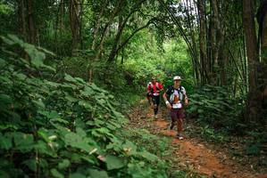 BIB: 
                            <button type="button" onclick="openModal(26803315)" class="btn btn-primary btn-sm float-right btn-popup" data-toggle="modal" data-target=".modal-high-quality">
                        <i class="fas fa-shopping-cart"></i> Add to Cart
                    </button>
                                            <button type="button" onclick="isThisMe(26803315, true)" class="btn btn-success btn-sm float-right btn-popup btn-isme hidden" data-toggle="tooltip" data-placement="bottom" title="นี่คือรูปของคุณใช่ไหม คลิกที่นี่เพื่อเอาเข้าอัลบั้ม">
                        <i class="fas fa-plus"></i> Add to album
                    </button>
                    <button type="button" onclick="isThisMe(26803315, false)" class="btn btn-warning btn-sm float-right btn-popup btn-isnotme hidden">
                        <i class="fas fa-ban"></i> Remove from album
                    </button>