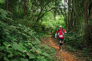 BIB: 
                            <button type="button" onclick="openModal(26802209)" class="btn btn-primary btn-sm float-right btn-popup" data-toggle="modal" data-target=".modal-high-quality">
                        <i class="fas fa-shopping-cart"></i> Add to Cart
                    </button>
                                            <button type="button" onclick="isThisMe(26802209, true)" class="btn btn-success btn-sm float-right btn-popup btn-isme hidden" data-toggle="tooltip" data-placement="bottom" title="นี่คือรูปของคุณใช่ไหม คลิกที่นี่เพื่อเอาเข้าอัลบั้ม">
                        <i class="fas fa-plus"></i> Add to album
                    </button>
                    <button type="button" onclick="isThisMe(26802209, false)" class="btn btn-warning btn-sm float-right btn-popup btn-isnotme hidden">
                        <i class="fas fa-ban"></i> Remove from album
                    </button>