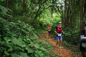 BIB: 
                            <button type="button" onclick="openModal(26802277)" class="btn btn-primary btn-sm float-right btn-popup" data-toggle="modal" data-target=".modal-high-quality">
                        <i class="fas fa-shopping-cart"></i> Add to Cart
                    </button>
                                            <button type="button" onclick="isThisMe(26802277, true)" class="btn btn-success btn-sm float-right btn-popup btn-isme hidden" data-toggle="tooltip" data-placement="bottom" title="นี่คือรูปของคุณใช่ไหม คลิกที่นี่เพื่อเอาเข้าอัลบั้ม">
                        <i class="fas fa-plus"></i> Add to album
                    </button>
                    <button type="button" onclick="isThisMe(26802277, false)" class="btn btn-warning btn-sm float-right btn-popup btn-isnotme hidden">
                        <i class="fas fa-ban"></i> Remove from album
                    </button>