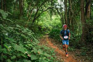 BIB: 
                            <button type="button" onclick="openModal(26802504)" class="btn btn-primary btn-sm float-right btn-popup" data-toggle="modal" data-target=".modal-high-quality">
                        <i class="fas fa-shopping-cart"></i> Add to Cart
                    </button>
                                            <button type="button" onclick="isThisMe(26802504, true)" class="btn btn-success btn-sm float-right btn-popup btn-isme hidden" data-toggle="tooltip" data-placement="bottom" title="นี่คือรูปของคุณใช่ไหม คลิกที่นี่เพื่อเอาเข้าอัลบั้ม">
                        <i class="fas fa-plus"></i> Add to album
                    </button>
                    <button type="button" onclick="isThisMe(26802504, false)" class="btn btn-warning btn-sm float-right btn-popup btn-isnotme hidden">
                        <i class="fas fa-ban"></i> Remove from album
                    </button>