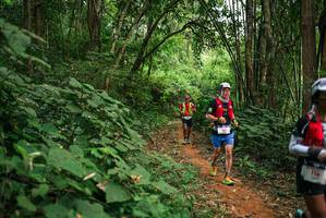 BIB: 
                            <button type="button" onclick="openModal(26802281)" class="btn btn-primary btn-sm float-right btn-popup" data-toggle="modal" data-target=".modal-high-quality">
                        <i class="fas fa-shopping-cart"></i> Add to Cart
                    </button>
                                            <button type="button" onclick="isThisMe(26802281, true)" class="btn btn-success btn-sm float-right btn-popup btn-isme hidden" data-toggle="tooltip" data-placement="bottom" title="นี่คือรูปของคุณใช่ไหม คลิกที่นี่เพื่อเอาเข้าอัลบั้ม">
                        <i class="fas fa-plus"></i> Add to album
                    </button>
                    <button type="button" onclick="isThisMe(26802281, false)" class="btn btn-warning btn-sm float-right btn-popup btn-isnotme hidden">
                        <i class="fas fa-ban"></i> Remove from album
                    </button>