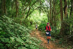 BIB: 
                            <button type="button" onclick="openModal(26803922)" class="btn btn-primary btn-sm float-right btn-popup" data-toggle="modal" data-target=".modal-high-quality">
                        <i class="fas fa-shopping-cart"></i> Add to Cart
                    </button>
                                            <button type="button" onclick="isThisMe(26803922, true)" class="btn btn-success btn-sm float-right btn-popup btn-isme hidden" data-toggle="tooltip" data-placement="bottom" title="นี่คือรูปของคุณใช่ไหม คลิกที่นี่เพื่อเอาเข้าอัลบั้ม">
                        <i class="fas fa-plus"></i> Add to album
                    </button>
                    <button type="button" onclick="isThisMe(26803922, false)" class="btn btn-warning btn-sm float-right btn-popup btn-isnotme hidden">
                        <i class="fas fa-ban"></i> Remove from album
                    </button>