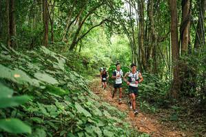 BIB: 
                            <button type="button" onclick="openModal(26803994)" class="btn btn-primary btn-sm float-right btn-popup" data-toggle="modal" data-target=".modal-high-quality">
                        <i class="fas fa-shopping-cart"></i> Add to Cart
                    </button>
                                            <button type="button" onclick="isThisMe(26803994, true)" class="btn btn-success btn-sm float-right btn-popup btn-isme hidden" data-toggle="tooltip" data-placement="bottom" title="นี่คือรูปของคุณใช่ไหม คลิกที่นี่เพื่อเอาเข้าอัลบั้ม">
                        <i class="fas fa-plus"></i> Add to album
                    </button>
                    <button type="button" onclick="isThisMe(26803994, false)" class="btn btn-warning btn-sm float-right btn-popup btn-isnotme hidden">
                        <i class="fas fa-ban"></i> Remove from album
                    </button>