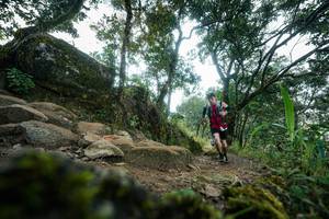 BIB: 
                            <button type="button" onclick="openModal(27259938)" class="btn btn-primary btn-sm float-right btn-popup" data-toggle="modal" data-target=".modal-high-quality">
                        <i class="fas fa-shopping-cart"></i> Add to Cart
                    </button>
                                            <button type="button" onclick="isThisMe(27259938, true)" class="btn btn-success btn-sm float-right btn-popup btn-isme hidden" data-toggle="tooltip" data-placement="bottom" title="นี่คือรูปของคุณใช่ไหม คลิกที่นี่เพื่อเอาเข้าอัลบั้ม">
                        <i class="fas fa-plus"></i> Add to album
                    </button>
                    <button type="button" onclick="isThisMe(27259938, false)" class="btn btn-warning btn-sm float-right btn-popup btn-isnotme hidden">
                        <i class="fas fa-ban"></i> Remove from album
                    </button>