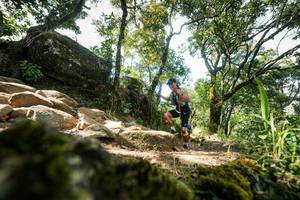 BIB: 
                            <button type="button" onclick="openModal(27334045)" class="btn btn-primary btn-sm float-right btn-popup" data-toggle="modal" data-target=".modal-high-quality">
                        <i class="fas fa-shopping-cart"></i> Add to Cart
                    </button>
                                            <button type="button" onclick="isThisMe(27334045, true)" class="btn btn-success btn-sm float-right btn-popup btn-isme hidden" data-toggle="tooltip" data-placement="bottom" title="นี่คือรูปของคุณใช่ไหม คลิกที่นี่เพื่อเอาเข้าอัลบั้ม">
                        <i class="fas fa-plus"></i> Add to album
                    </button>
                    <button type="button" onclick="isThisMe(27334045, false)" class="btn btn-warning btn-sm float-right btn-popup btn-isnotme hidden">
                        <i class="fas fa-ban"></i> Remove from album
                    </button>