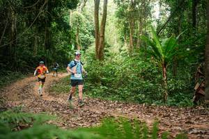 BIB: 
                            <button type="button" onclick="openModal(27135088)" class="btn btn-primary btn-sm float-right btn-popup" data-toggle="modal" data-target=".modal-high-quality">
                        <i class="fas fa-shopping-cart"></i> Add to Cart
                    </button>
                                            <button type="button" onclick="isThisMe(27135088, true)" class="btn btn-success btn-sm float-right btn-popup btn-isme hidden" data-toggle="tooltip" data-placement="bottom" title="นี่คือรูปของคุณใช่ไหม คลิกที่นี่เพื่อเอาเข้าอัลบั้ม">
                        <i class="fas fa-plus"></i> Add to album
                    </button>
                    <button type="button" onclick="isThisMe(27135088, false)" class="btn btn-warning btn-sm float-right btn-popup btn-isnotme hidden">
                        <i class="fas fa-ban"></i> Remove from album
                    </button>