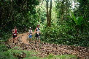 BIB: 
                            <button type="button" onclick="openModal(27131874)" class="btn btn-primary btn-sm float-right btn-popup" data-toggle="modal" data-target=".modal-high-quality">
                        <i class="fas fa-shopping-cart"></i> Add to Cart
                    </button>
                                            <button type="button" onclick="isThisMe(27131874, true)" class="btn btn-success btn-sm float-right btn-popup btn-isme hidden" data-toggle="tooltip" data-placement="bottom" title="นี่คือรูปของคุณใช่ไหม คลิกที่นี่เพื่อเอาเข้าอัลบั้ม">
                        <i class="fas fa-plus"></i> Add to album
                    </button>
                    <button type="button" onclick="isThisMe(27131874, false)" class="btn btn-warning btn-sm float-right btn-popup btn-isnotme hidden">
                        <i class="fas fa-ban"></i> Remove from album
                    </button>