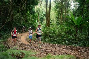 BIB: 
                            <button type="button" onclick="openModal(27131882)" class="btn btn-primary btn-sm float-right btn-popup" data-toggle="modal" data-target=".modal-high-quality">
                        <i class="fas fa-shopping-cart"></i> Add to Cart
                    </button>
                                            <button type="button" onclick="isThisMe(27131882, true)" class="btn btn-success btn-sm float-right btn-popup btn-isme hidden" data-toggle="tooltip" data-placement="bottom" title="นี่คือรูปของคุณใช่ไหม คลิกที่นี่เพื่อเอาเข้าอัลบั้ม">
                        <i class="fas fa-plus"></i> Add to album
                    </button>
                    <button type="button" onclick="isThisMe(27131882, false)" class="btn btn-warning btn-sm float-right btn-popup btn-isnotme hidden">
                        <i class="fas fa-ban"></i> Remove from album
                    </button>