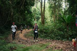 BIB: 
                            <button type="button" onclick="openModal(27141058)" class="btn btn-primary btn-sm float-right btn-popup" data-toggle="modal" data-target=".modal-high-quality">
                        <i class="fas fa-shopping-cart"></i> Add to Cart
                    </button>
                                            <button type="button" onclick="isThisMe(27141058, true)" class="btn btn-success btn-sm float-right btn-popup btn-isme hidden" data-toggle="tooltip" data-placement="bottom" title="นี่คือรูปของคุณใช่ไหม คลิกที่นี่เพื่อเอาเข้าอัลบั้ม">
                        <i class="fas fa-plus"></i> Add to album
                    </button>
                    <button type="button" onclick="isThisMe(27141058, false)" class="btn btn-warning btn-sm float-right btn-popup btn-isnotme hidden">
                        <i class="fas fa-ban"></i> Remove from album
                    </button>