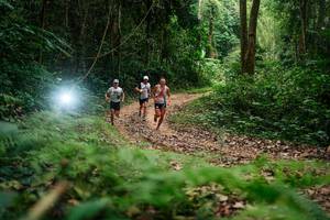 BIB: 
                            <button type="button" onclick="openModal(27130954)" class="btn btn-primary btn-sm float-right btn-popup" data-toggle="modal" data-target=".modal-high-quality">
                        <i class="fas fa-shopping-cart"></i> Add to Cart
                    </button>
                                            <button type="button" onclick="isThisMe(27130954, true)" class="btn btn-success btn-sm float-right btn-popup btn-isme hidden" data-toggle="tooltip" data-placement="bottom" title="นี่คือรูปของคุณใช่ไหม คลิกที่นี่เพื่อเอาเข้าอัลบั้ม">
                        <i class="fas fa-plus"></i> Add to album
                    </button>
                    <button type="button" onclick="isThisMe(27130954, false)" class="btn btn-warning btn-sm float-right btn-popup btn-isnotme hidden">
                        <i class="fas fa-ban"></i> Remove from album
                    </button>