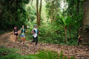 BIB: 
                            <button type="button" onclick="openModal(27134818)" class="btn btn-primary btn-sm float-right btn-popup" data-toggle="modal" data-target=".modal-high-quality">
                        <i class="fas fa-shopping-cart"></i> Add to Cart
                    </button>
                                            <button type="button" onclick="isThisMe(27134818, true)" class="btn btn-success btn-sm float-right btn-popup btn-isme hidden" data-toggle="tooltip" data-placement="bottom" title="นี่คือรูปของคุณใช่ไหม คลิกที่นี่เพื่อเอาเข้าอัลบั้ม">
                        <i class="fas fa-plus"></i> Add to album
                    </button>
                    <button type="button" onclick="isThisMe(27134818, false)" class="btn btn-warning btn-sm float-right btn-popup btn-isnotme hidden">
                        <i class="fas fa-ban"></i> Remove from album
                    </button>