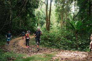 BIB: 
                            <button type="button" onclick="openModal(27141772)" class="btn btn-primary btn-sm float-right btn-popup" data-toggle="modal" data-target=".modal-high-quality">
                        <i class="fas fa-shopping-cart"></i> Add to Cart
                    </button>
                                            <button type="button" onclick="isThisMe(27141772, true)" class="btn btn-success btn-sm float-right btn-popup btn-isme hidden" data-toggle="tooltip" data-placement="bottom" title="นี่คือรูปของคุณใช่ไหม คลิกที่นี่เพื่อเอาเข้าอัลบั้ม">
                        <i class="fas fa-plus"></i> Add to album
                    </button>
                    <button type="button" onclick="isThisMe(27141772, false)" class="btn btn-warning btn-sm float-right btn-popup btn-isnotme hidden">
                        <i class="fas fa-ban"></i> Remove from album
                    </button>