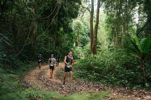 BIB: 
                            <button type="button" onclick="openModal(27144552)" class="btn btn-primary btn-sm float-right btn-popup" data-toggle="modal" data-target=".modal-high-quality">
                        <i class="fas fa-shopping-cart"></i> Add to Cart
                    </button>
                                            <button type="button" onclick="isThisMe(27144552, true)" class="btn btn-success btn-sm float-right btn-popup btn-isme hidden" data-toggle="tooltip" data-placement="bottom" title="นี่คือรูปของคุณใช่ไหม คลิกที่นี่เพื่อเอาเข้าอัลบั้ม">
                        <i class="fas fa-plus"></i> Add to album
                    </button>
                    <button type="button" onclick="isThisMe(27144552, false)" class="btn btn-warning btn-sm float-right btn-popup btn-isnotme hidden">
                        <i class="fas fa-ban"></i> Remove from album
                    </button>