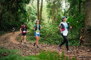 BIB: 
                            <button type="button" onclick="openModal(27134889)" class="btn btn-primary btn-sm float-right btn-popup" data-toggle="modal" data-target=".modal-high-quality">
                        <i class="fas fa-shopping-cart"></i> Add to Cart
                    </button>
                                            <button type="button" onclick="isThisMe(27134889, true)" class="btn btn-success btn-sm float-right btn-popup btn-isme hidden" data-toggle="tooltip" data-placement="bottom" title="นี่คือรูปของคุณใช่ไหม คลิกที่นี่เพื่อเอาเข้าอัลบั้ม">
                        <i class="fas fa-plus"></i> Add to album
                    </button>
                    <button type="button" onclick="isThisMe(27134889, false)" class="btn btn-warning btn-sm float-right btn-popup btn-isnotme hidden">
                        <i class="fas fa-ban"></i> Remove from album
                    </button>