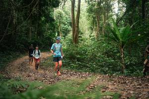 BIB: 
                            <button type="button" onclick="openModal(27137937)" class="btn btn-primary btn-sm float-right btn-popup" data-toggle="modal" data-target=".modal-high-quality">
                        <i class="fas fa-shopping-cart"></i> Add to Cart
                    </button>
                                            <button type="button" onclick="isThisMe(27137937, true)" class="btn btn-success btn-sm float-right btn-popup btn-isme hidden" data-toggle="tooltip" data-placement="bottom" title="นี่คือรูปของคุณใช่ไหม คลิกที่นี่เพื่อเอาเข้าอัลบั้ม">
                        <i class="fas fa-plus"></i> Add to album
                    </button>
                    <button type="button" onclick="isThisMe(27137937, false)" class="btn btn-warning btn-sm float-right btn-popup btn-isnotme hidden">
                        <i class="fas fa-ban"></i> Remove from album
                    </button>