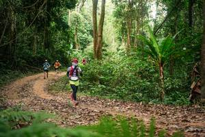 BIB: 
                            <button type="button" onclick="openModal(27135060)" class="btn btn-primary btn-sm float-right btn-popup" data-toggle="modal" data-target=".modal-high-quality">
                        <i class="fas fa-shopping-cart"></i> Add to Cart
                    </button>
                                            <button type="button" onclick="isThisMe(27135060, true)" class="btn btn-success btn-sm float-right btn-popup btn-isme hidden" data-toggle="tooltip" data-placement="bottom" title="นี่คือรูปของคุณใช่ไหม คลิกที่นี่เพื่อเอาเข้าอัลบั้ม">
                        <i class="fas fa-plus"></i> Add to album
                    </button>
                    <button type="button" onclick="isThisMe(27135060, false)" class="btn btn-warning btn-sm float-right btn-popup btn-isnotme hidden">
                        <i class="fas fa-ban"></i> Remove from album
                    </button>