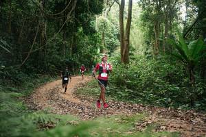 BIB: 
                            <button type="button" onclick="openModal(27145366)" class="btn btn-primary btn-sm float-right btn-popup" data-toggle="modal" data-target=".modal-high-quality">
                        <i class="fas fa-shopping-cart"></i> Add to Cart
                    </button>
                                            <button type="button" onclick="isThisMe(27145366, true)" class="btn btn-success btn-sm float-right btn-popup btn-isme hidden" data-toggle="tooltip" data-placement="bottom" title="นี่คือรูปของคุณใช่ไหม คลิกที่นี่เพื่อเอาเข้าอัลบั้ม">
                        <i class="fas fa-plus"></i> Add to album
                    </button>
                    <button type="button" onclick="isThisMe(27145366, false)" class="btn btn-warning btn-sm float-right btn-popup btn-isnotme hidden">
                        <i class="fas fa-ban"></i> Remove from album
                    </button>