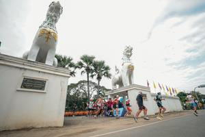 BIB: 
                            <button type="button" onclick="openModal(26902609)" class="btn btn-primary btn-sm float-right btn-popup" data-toggle="modal" data-target=".modal-high-quality">
                        <i class="fas fa-shopping-cart"></i> Add to Cart
                    </button>
                                            <button type="button" onclick="isThisMe(26902609, true)" class="btn btn-success btn-sm float-right btn-popup btn-isme hidden" data-toggle="tooltip" data-placement="bottom" title="นี่คือรูปของคุณใช่ไหม คลิกที่นี่เพื่อเอาเข้าอัลบั้ม">
                        <i class="fas fa-plus"></i> Add to album
                    </button>
                    <button type="button" onclick="isThisMe(26902609, false)" class="btn btn-warning btn-sm float-right btn-popup btn-isnotme hidden">
                        <i class="fas fa-ban"></i> Remove from album
                    </button>