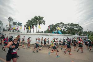 BIB: 
                            <button type="button" onclick="openModal(26902802)" class="btn btn-primary btn-sm float-right btn-popup" data-toggle="modal" data-target=".modal-high-quality">
                        <i class="fas fa-shopping-cart"></i> Add to Cart
                    </button>
                                            <button type="button" onclick="isThisMe(26902802, true)" class="btn btn-success btn-sm float-right btn-popup btn-isme hidden" data-toggle="tooltip" data-placement="bottom" title="นี่คือรูปของคุณใช่ไหม คลิกที่นี่เพื่อเอาเข้าอัลบั้ม">
                        <i class="fas fa-plus"></i> Add to album
                    </button>
                    <button type="button" onclick="isThisMe(26902802, false)" class="btn btn-warning btn-sm float-right btn-popup btn-isnotme hidden">
                        <i class="fas fa-ban"></i> Remove from album
                    </button>