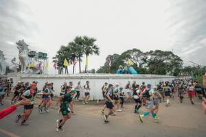 BIB: 
                            <button type="button" onclick="openModal(26902789)" class="btn btn-primary btn-sm float-right btn-popup" data-toggle="modal" data-target=".modal-high-quality">
                        <i class="fas fa-shopping-cart"></i> Add to Cart
                    </button>
                                            <button type="button" onclick="isThisMe(26902789, true)" class="btn btn-success btn-sm float-right btn-popup btn-isme hidden" data-toggle="tooltip" data-placement="bottom" title="นี่คือรูปของคุณใช่ไหม คลิกที่นี่เพื่อเอาเข้าอัลบั้ม">
                        <i class="fas fa-plus"></i> Add to album
                    </button>
                    <button type="button" onclick="isThisMe(26902789, false)" class="btn btn-warning btn-sm float-right btn-popup btn-isnotme hidden">
                        <i class="fas fa-ban"></i> Remove from album
                    </button>