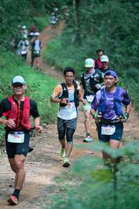 BIB: 
                            <button type="button" onclick="openModal(26904807)" class="btn btn-primary btn-sm float-right btn-popup" data-toggle="modal" data-target=".modal-high-quality">
                        <i class="fas fa-shopping-cart"></i> Add to Cart
                    </button>
                                            <button type="button" onclick="isThisMe(26904807, true)" class="btn btn-success btn-sm float-right btn-popup btn-isme hidden" data-toggle="tooltip" data-placement="bottom" title="นี่คือรูปของคุณใช่ไหม คลิกที่นี่เพื่อเอาเข้าอัลบั้ม">
                        <i class="fas fa-plus"></i> Add to album
                    </button>
                    <button type="button" onclick="isThisMe(26904807, false)" class="btn btn-warning btn-sm float-right btn-popup btn-isnotme hidden">
                        <i class="fas fa-ban"></i> Remove from album
                    </button>