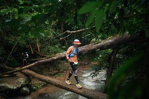 BIB: 
                            <button type="button" onclick="openModal(26828128)" class="btn btn-primary btn-sm float-right btn-popup" data-toggle="modal" data-target=".modal-high-quality">
                        <i class="fas fa-shopping-cart"></i> Add to Cart
                    </button>
                                            <button type="button" onclick="isThisMe(26828128, true)" class="btn btn-success btn-sm float-right btn-popup btn-isme hidden" data-toggle="tooltip" data-placement="bottom" title="นี่คือรูปของคุณใช่ไหม คลิกที่นี่เพื่อเอาเข้าอัลบั้ม">
                        <i class="fas fa-plus"></i> Add to album
                    </button>
                    <button type="button" onclick="isThisMe(26828128, false)" class="btn btn-warning btn-sm float-right btn-popup btn-isnotme hidden">
                        <i class="fas fa-ban"></i> Remove from album
                    </button>