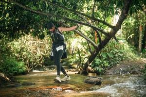 BIB: 
                            <button type="button" onclick="openModal(27767462)" class="btn btn-primary btn-sm float-right btn-popup" data-toggle="modal" data-target=".modal-high-quality">
                        <i class="fas fa-shopping-cart"></i> Add to Cart
                    </button>
                                            <button type="button" onclick="isThisMe(27767462, true)" class="btn btn-success btn-sm float-right btn-popup btn-isme hidden" data-toggle="tooltip" data-placement="bottom" title="นี่คือรูปของคุณใช่ไหม คลิกที่นี่เพื่อเอาเข้าอัลบั้ม">
                        <i class="fas fa-plus"></i> Add to album
                    </button>
                    <button type="button" onclick="isThisMe(27767462, false)" class="btn btn-warning btn-sm float-right btn-popup btn-isnotme hidden">
                        <i class="fas fa-ban"></i> Remove from album
                    </button>