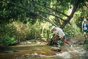 BIB: 
                            <button type="button" onclick="openModal(27753693)" class="btn btn-primary btn-sm float-right btn-popup" data-toggle="modal" data-target=".modal-high-quality">
                        <i class="fas fa-shopping-cart"></i> Add to Cart
                    </button>
                                            <button type="button" onclick="isThisMe(27753693, true)" class="btn btn-success btn-sm float-right btn-popup btn-isme hidden" data-toggle="tooltip" data-placement="bottom" title="นี่คือรูปของคุณใช่ไหม คลิกที่นี่เพื่อเอาเข้าอัลบั้ม">
                        <i class="fas fa-plus"></i> Add to album
                    </button>
                    <button type="button" onclick="isThisMe(27753693, false)" class="btn btn-warning btn-sm float-right btn-popup btn-isnotme hidden">
                        <i class="fas fa-ban"></i> Remove from album
                    </button>