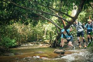 BIB: 
                            <button type="button" onclick="openModal(27753613)" class="btn btn-primary btn-sm float-right btn-popup" data-toggle="modal" data-target=".modal-high-quality">
                        <i class="fas fa-shopping-cart"></i> Add to Cart
                    </button>
                                            <button type="button" onclick="isThisMe(27753613, true)" class="btn btn-success btn-sm float-right btn-popup btn-isme hidden" data-toggle="tooltip" data-placement="bottom" title="นี่คือรูปของคุณใช่ไหม คลิกที่นี่เพื่อเอาเข้าอัลบั้ม">
                        <i class="fas fa-plus"></i> Add to album
                    </button>
                    <button type="button" onclick="isThisMe(27753613, false)" class="btn btn-warning btn-sm float-right btn-popup btn-isnotme hidden">
                        <i class="fas fa-ban"></i> Remove from album
                    </button>