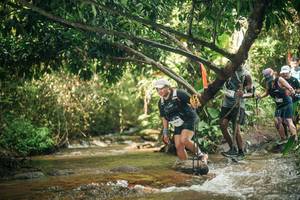 BIB: 
                            <button type="button" onclick="openModal(27752929)" class="btn btn-primary btn-sm float-right btn-popup" data-toggle="modal" data-target=".modal-high-quality">
                        <i class="fas fa-shopping-cart"></i> Add to Cart
                    </button>
                                            <button type="button" onclick="isThisMe(27752929, true)" class="btn btn-success btn-sm float-right btn-popup btn-isme hidden" data-toggle="tooltip" data-placement="bottom" title="นี่คือรูปของคุณใช่ไหม คลิกที่นี่เพื่อเอาเข้าอัลบั้ม">
                        <i class="fas fa-plus"></i> Add to album
                    </button>
                    <button type="button" onclick="isThisMe(27752929, false)" class="btn btn-warning btn-sm float-right btn-popup btn-isnotme hidden">
                        <i class="fas fa-ban"></i> Remove from album
                    </button>