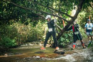 BIB: 
                            <button type="button" onclick="openModal(27755222)" class="btn btn-primary btn-sm float-right btn-popup" data-toggle="modal" data-target=".modal-high-quality">
                        <i class="fas fa-shopping-cart"></i> Add to Cart
                    </button>
                                            <button type="button" onclick="isThisMe(27755222, true)" class="btn btn-success btn-sm float-right btn-popup btn-isme hidden" data-toggle="tooltip" data-placement="bottom" title="นี่คือรูปของคุณใช่ไหม คลิกที่นี่เพื่อเอาเข้าอัลบั้ม">
                        <i class="fas fa-plus"></i> Add to album
                    </button>
                    <button type="button" onclick="isThisMe(27755222, false)" class="btn btn-warning btn-sm float-right btn-popup btn-isnotme hidden">
                        <i class="fas fa-ban"></i> Remove from album
                    </button>