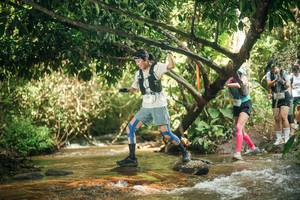 BIB: 
                            <button type="button" onclick="openModal(27772429)" class="btn btn-primary btn-sm float-right btn-popup" data-toggle="modal" data-target=".modal-high-quality">
                        <i class="fas fa-shopping-cart"></i> Add to Cart
                    </button>
                                            <button type="button" onclick="isThisMe(27772429, true)" class="btn btn-success btn-sm float-right btn-popup btn-isme hidden" data-toggle="tooltip" data-placement="bottom" title="นี่คือรูปของคุณใช่ไหม คลิกที่นี่เพื่อเอาเข้าอัลบั้ม">
                        <i class="fas fa-plus"></i> Add to album
                    </button>
                    <button type="button" onclick="isThisMe(27772429, false)" class="btn btn-warning btn-sm float-right btn-popup btn-isnotme hidden">
                        <i class="fas fa-ban"></i> Remove from album
                    </button>